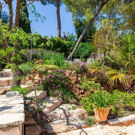 דירה De Charme Les Araucarias