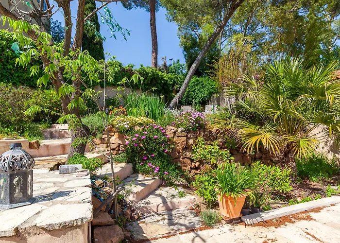 Appartement De Charme Les Araucarias